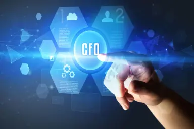 The Importance of Risk Management in Business: How a Virtual CFO Can Help